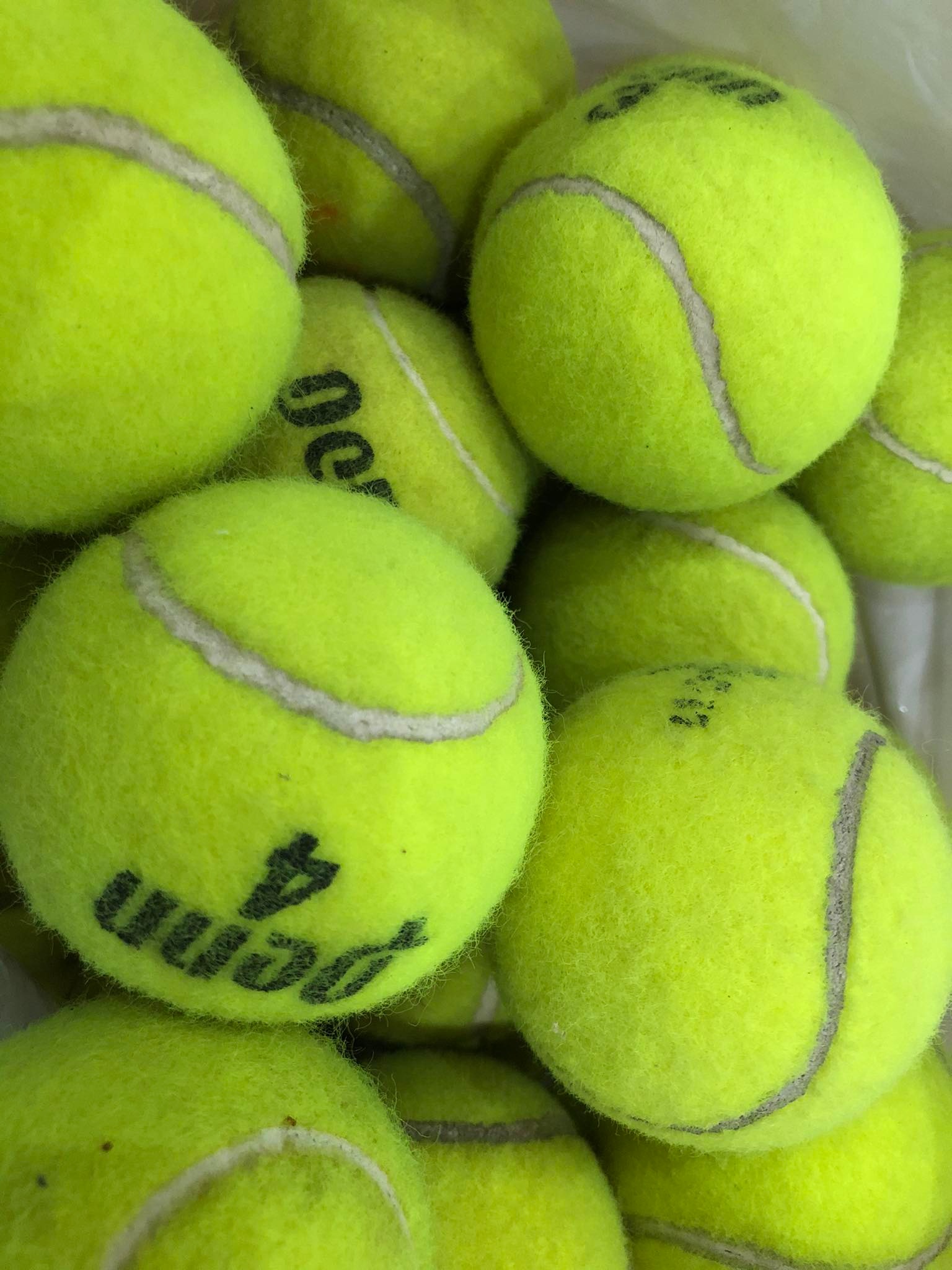 Banh Tennis cũ cho người tập, cho thú cưng chơi vận động