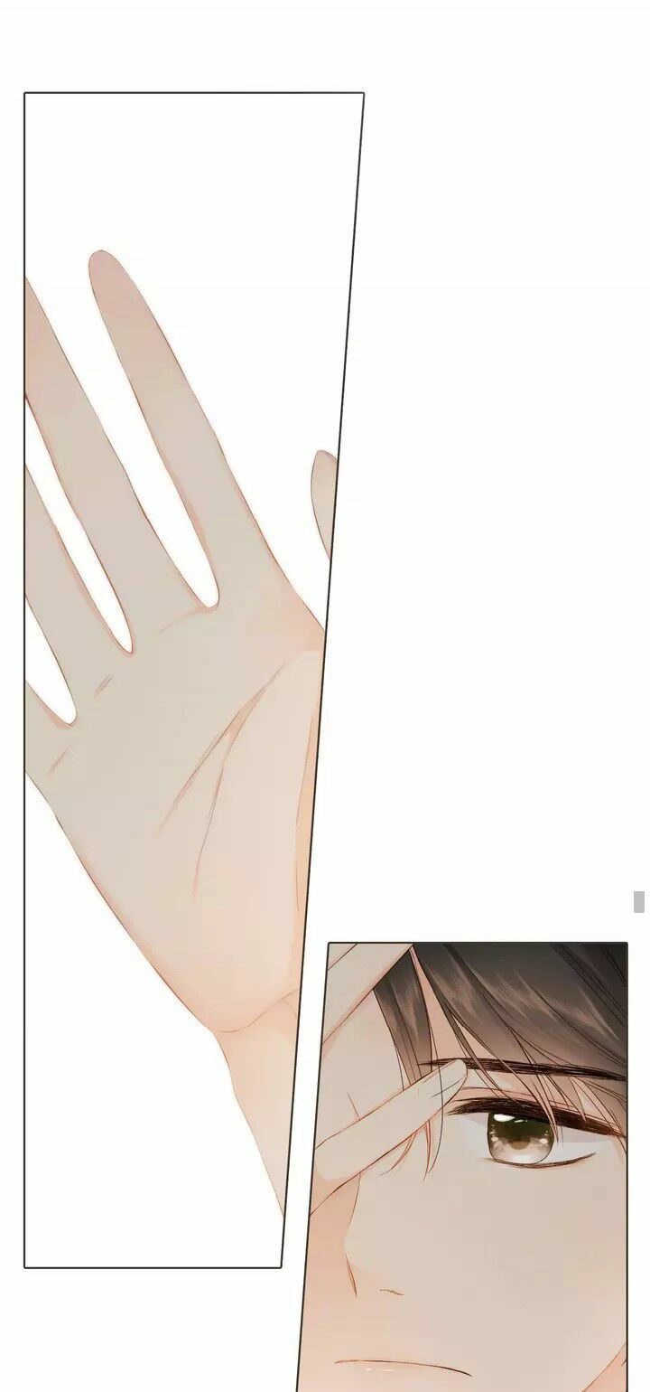 Tình yêu là màu hoa anh thảo chapter 33.2 3