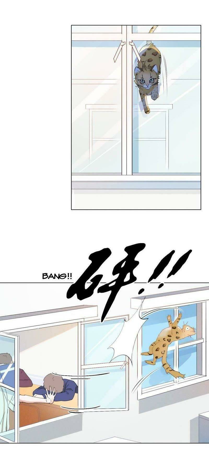 thập nhị hắc miêu chapter 1 14