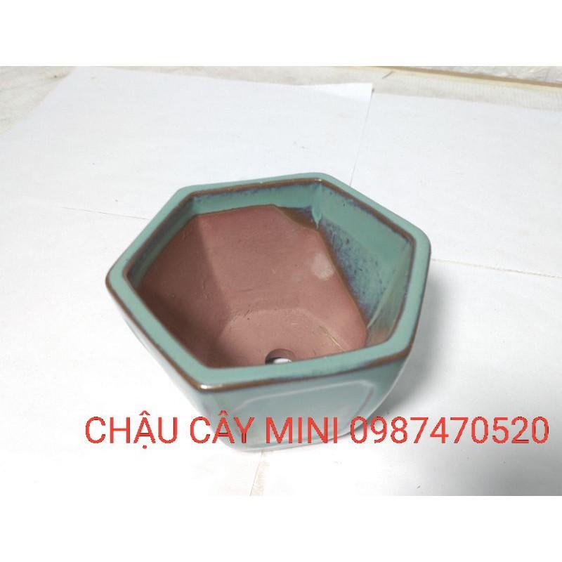 Chậu lục giác cao mini L02,chậu cây cảnh mini, chậu trồng cây bonsai