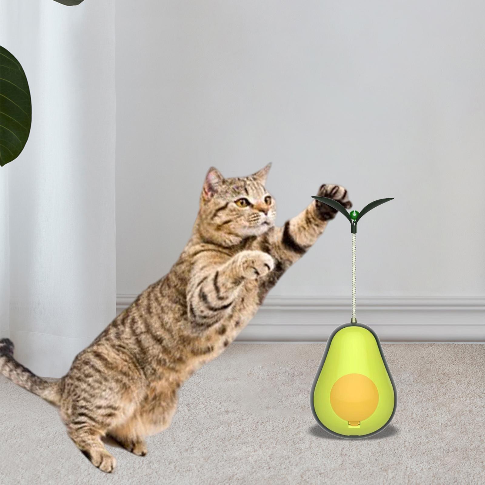 Treat Ball Tumbler Exercise  Shape Interactive Cat Toy for Dogs Cats