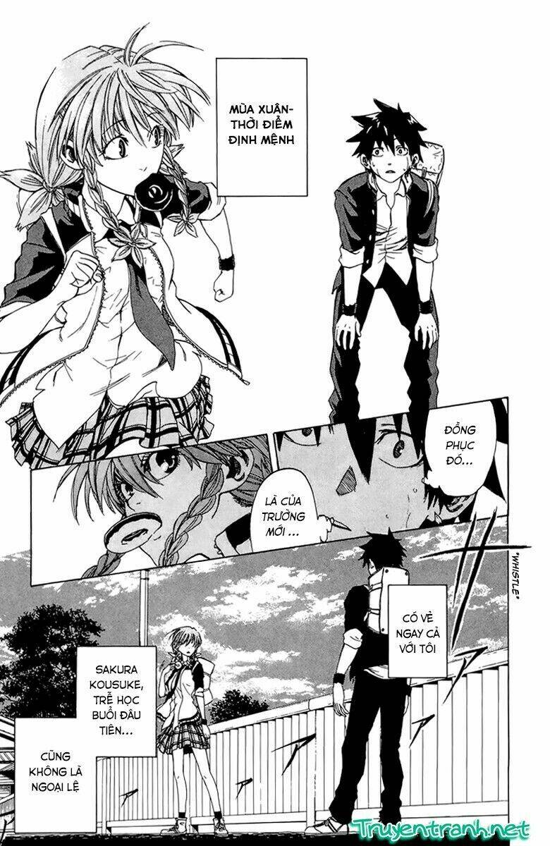 sakura discord chapter 0 11