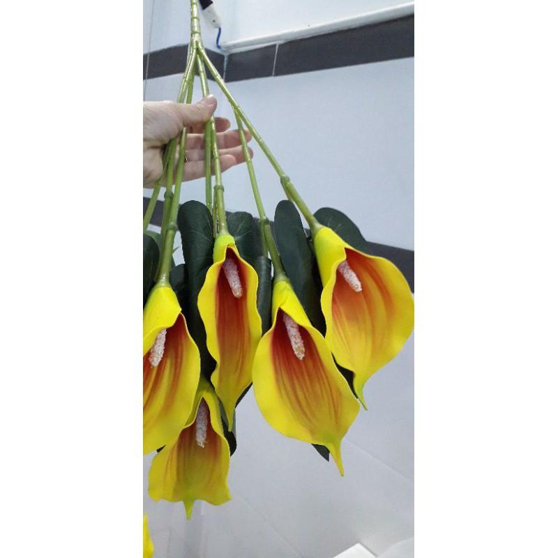 Cụm hoa loa kèn