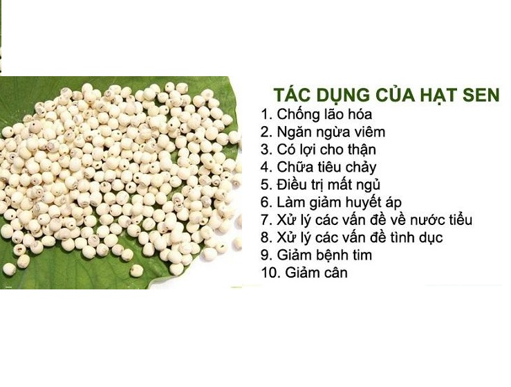 Hạt sen sấy giòn Hodi- NaVi hũ quai xách 400g