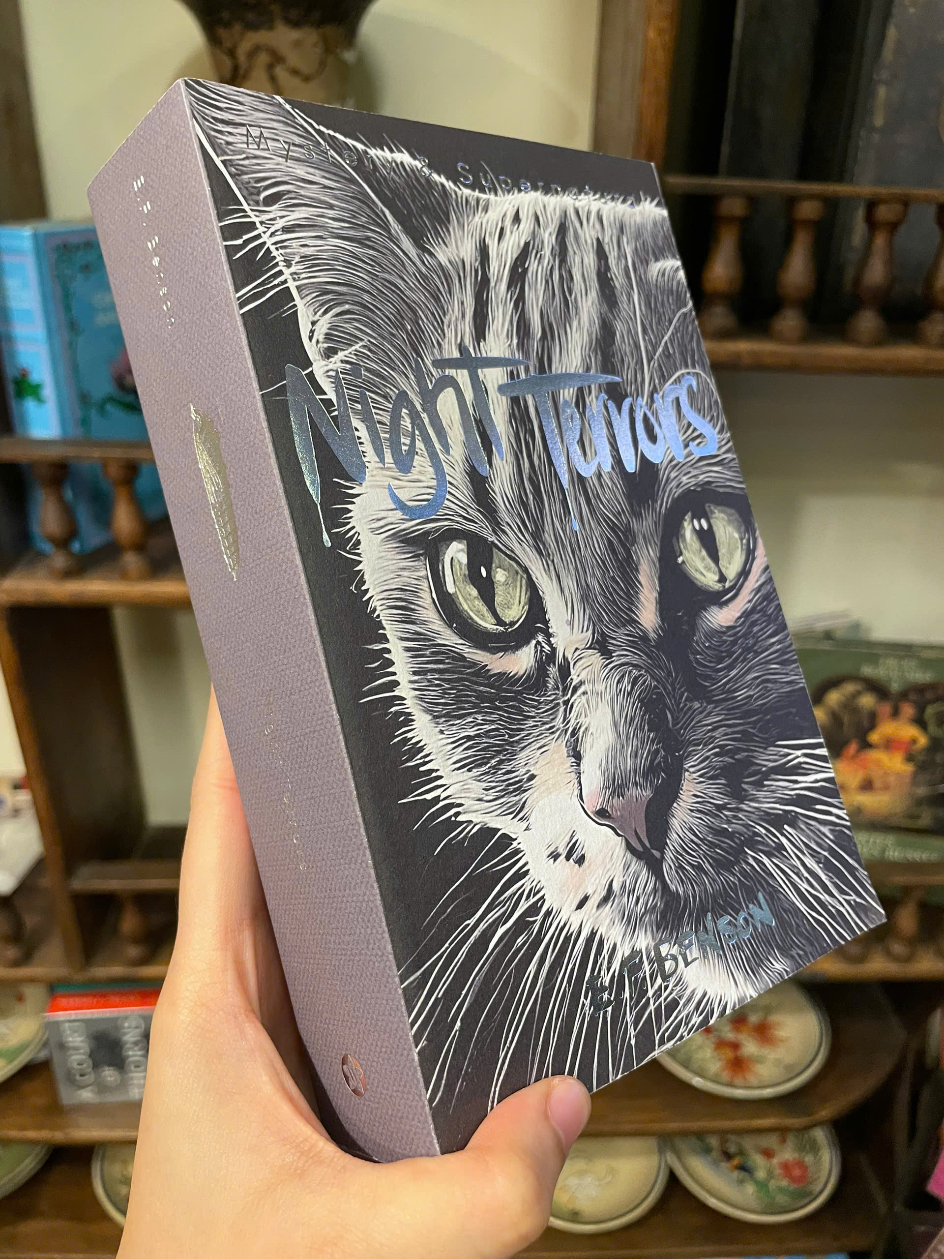 Sách - Night Terrors (Tales of Mystery & The Supernatural) by E.F. Benson | English Ghost Stories