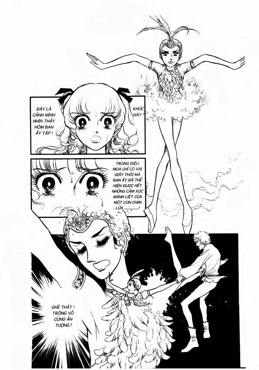 swan - vũ khúc thiên nga chapter 34 11