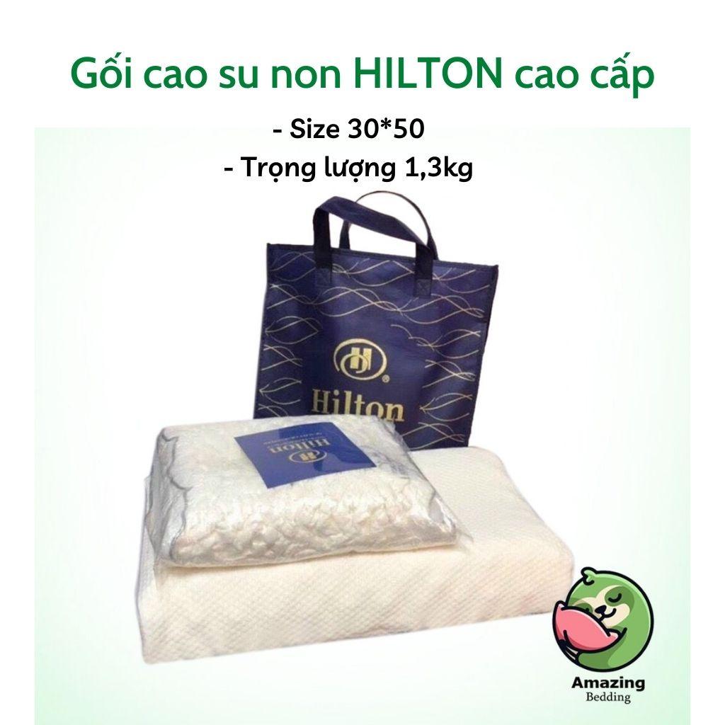 Gối cao su non Hilton cao cấp hàng loại 1