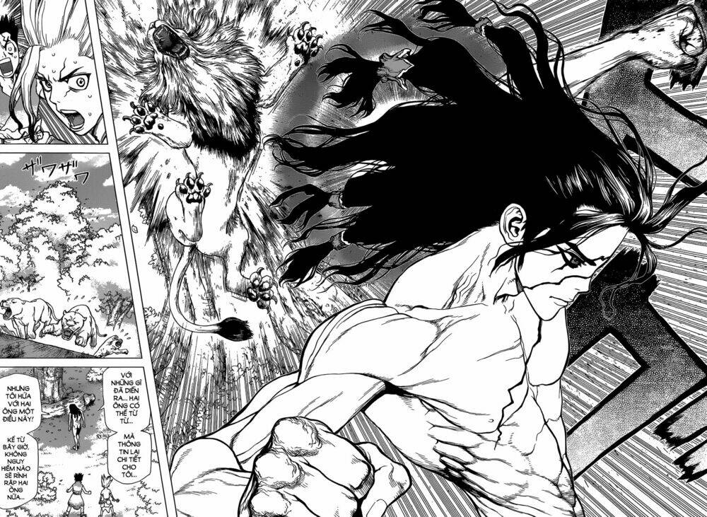 dr.stone - hồi sinh thế giới chapter 3 20