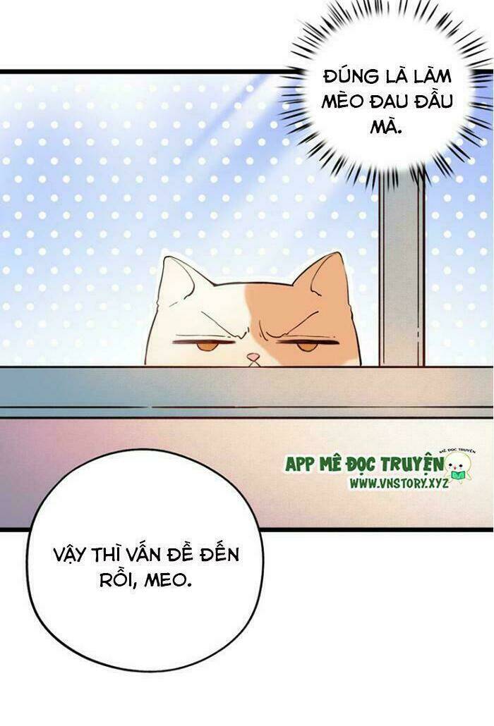 trạch thượng tịch mịch huỳnh hỏa chapter 15 52