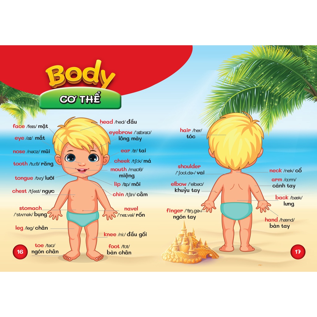 Từ Điển Bằng Hình Đầu Tiên Của Bé - Bách Khoa Tri Thức