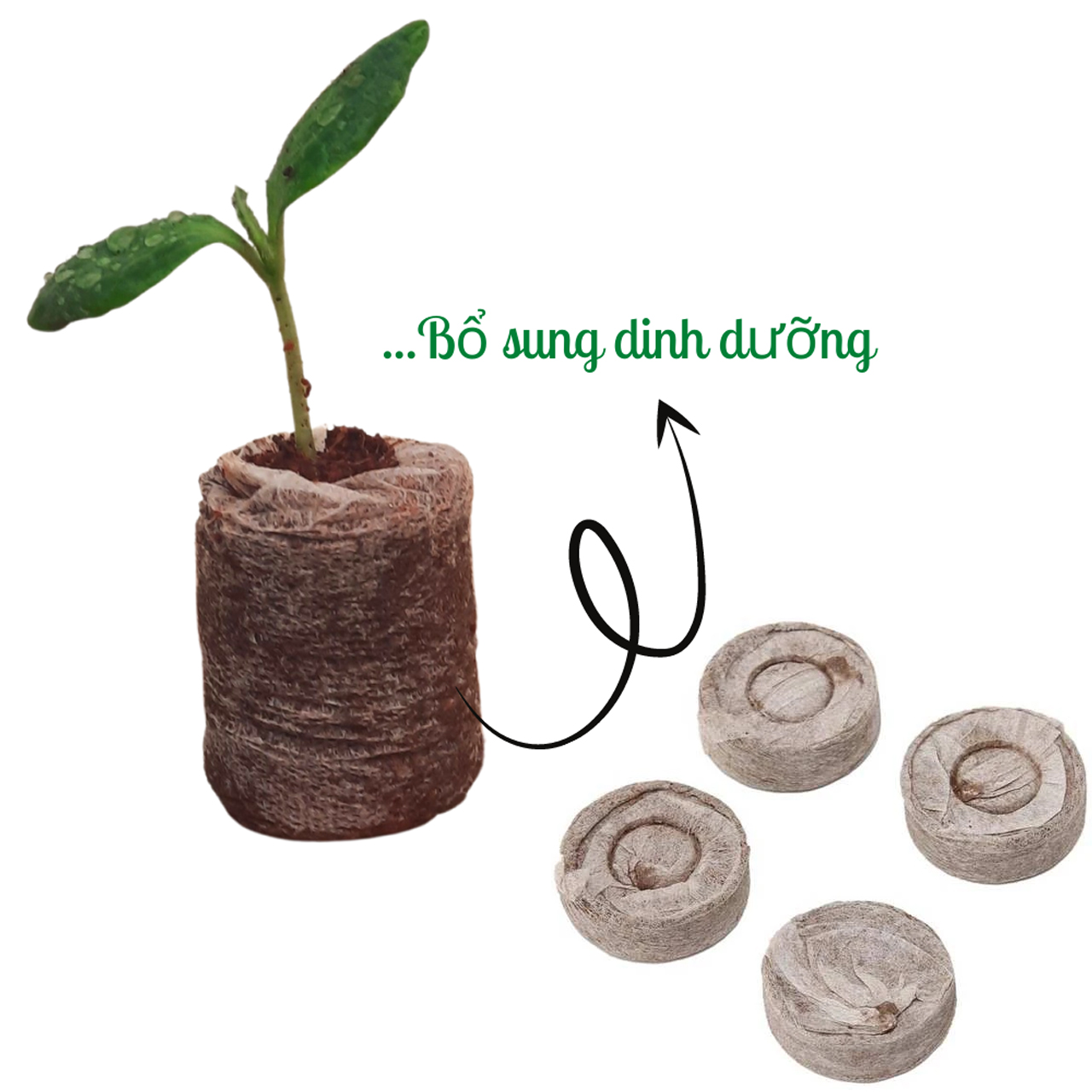 Viên nén xơ dừa, viên nén ươm hạt xơ dừa tiện ích bổ xung vi sinh hữu cơ cho cây trồng, hoa, các loại rau