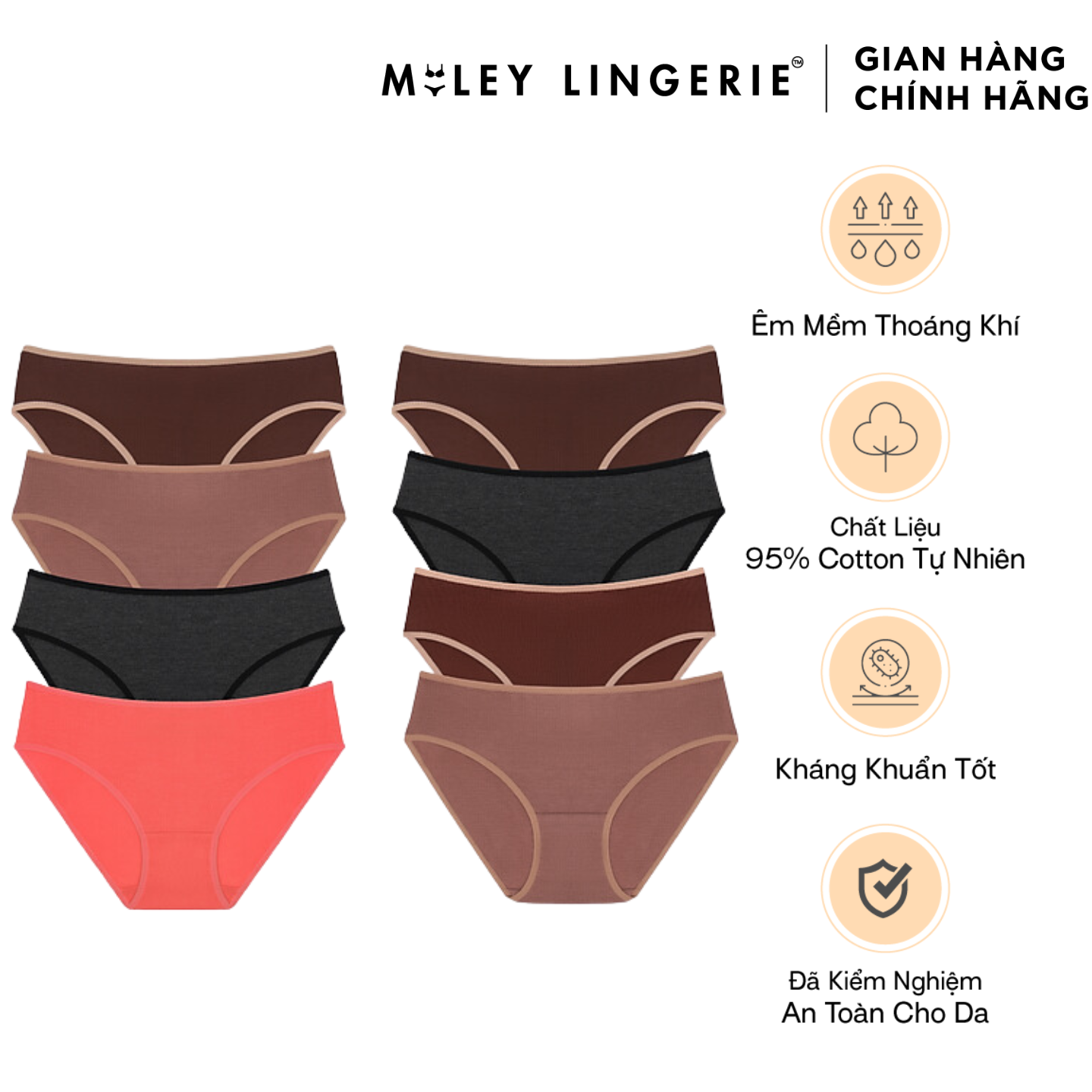 Hình ảnh Combo 8 Quần lót nữ Flexi màu basic co giãn Miley Lingerie BCS40