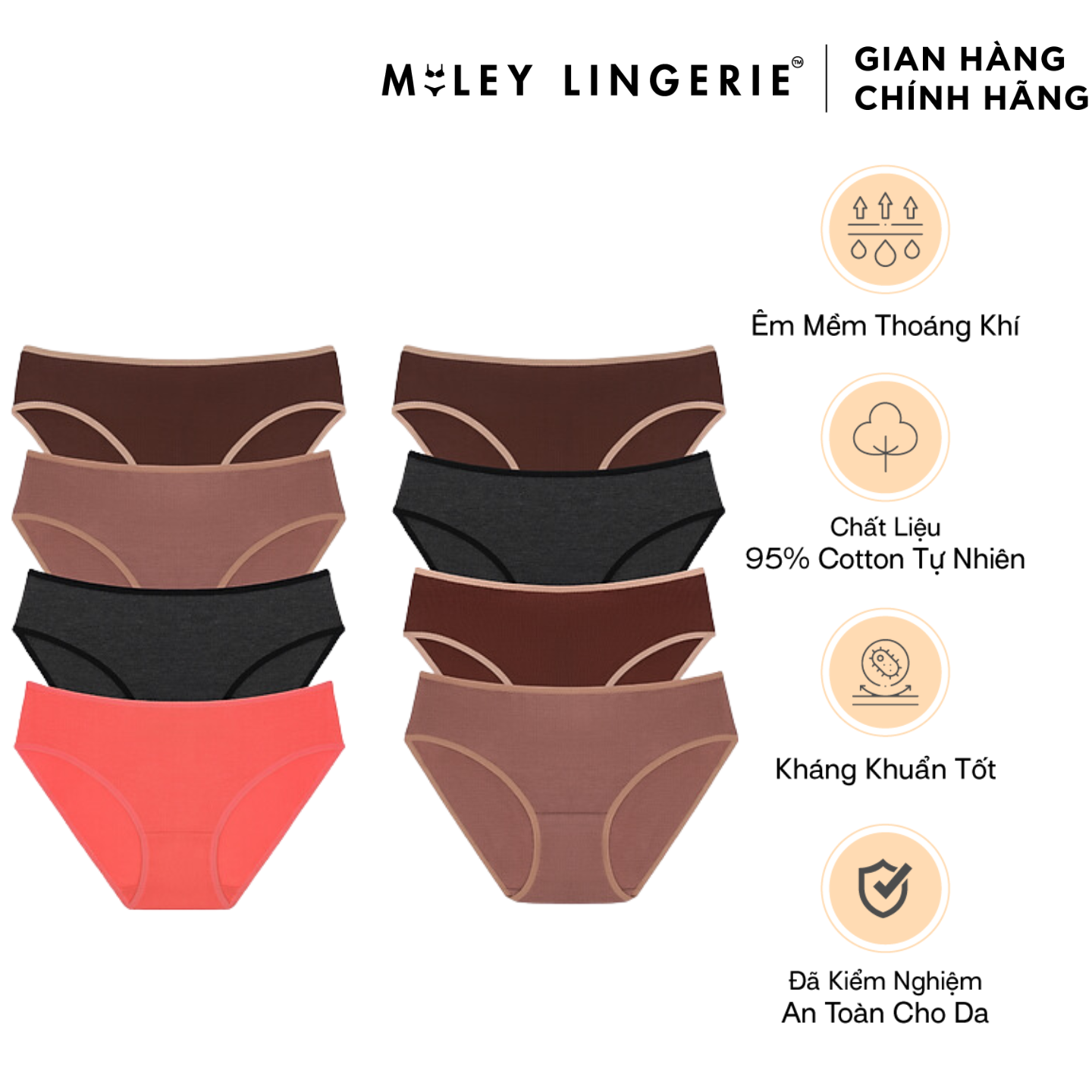 Combo 8 Quần lót nữ Flexi màu basic co giãn Miley Lingerie BCS40