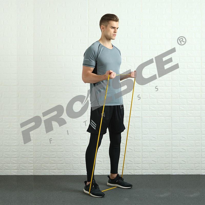 Dây Kháng Lực Tập Gym PROESCE, Dây Kháng Lực Power Band, Dây Kháng Lực Tập Toàn Thân Cao Cấp, Dây Kháng Lực Tập T