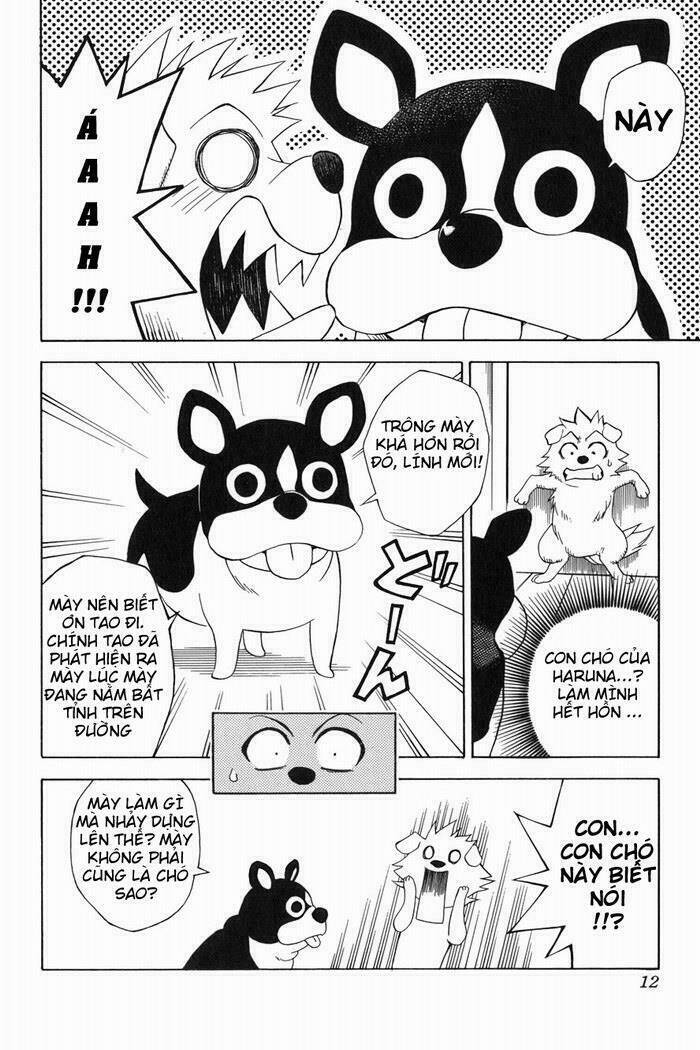 bọn tớ thích cậu! rito chapter 44 12