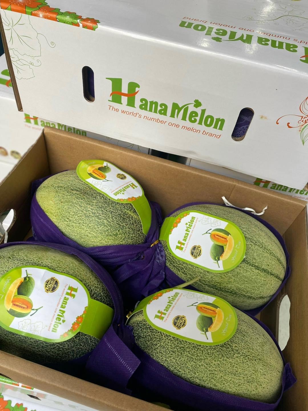 Dưa lưới Đài Loan quả tầm~ 1.65kg