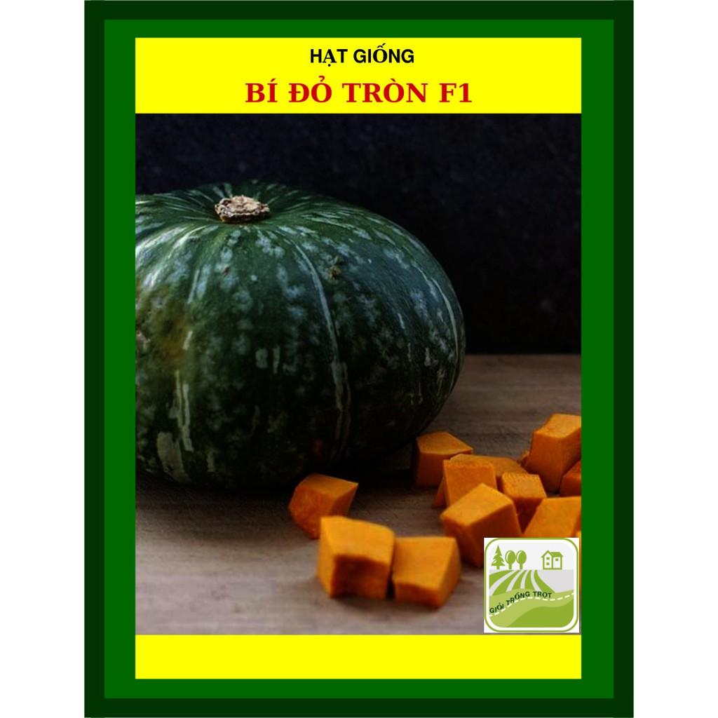 Hạt Giống Bí Đỏ Tròn F1 2gram
