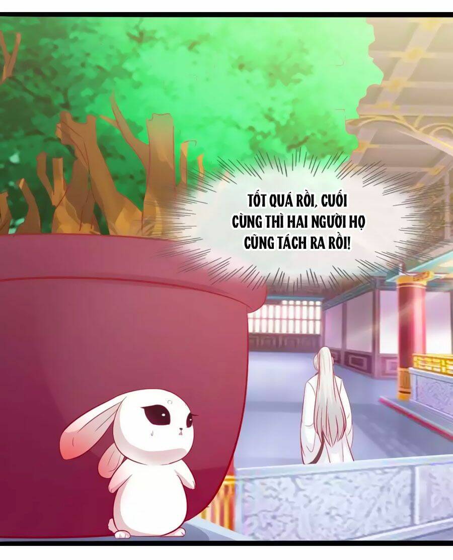 thỏ yêu tiểu vương phi chapter 49 13