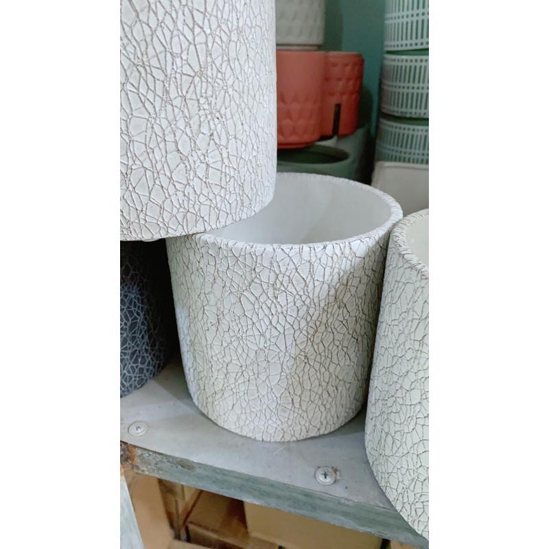 Chậu Trồng Cây 11x11Cm