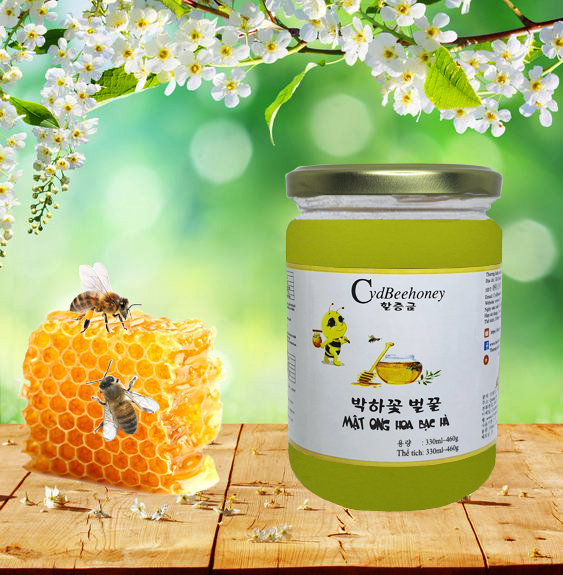 Mật Ong Hoa Bạc Hà Cvdbeehoney 500g