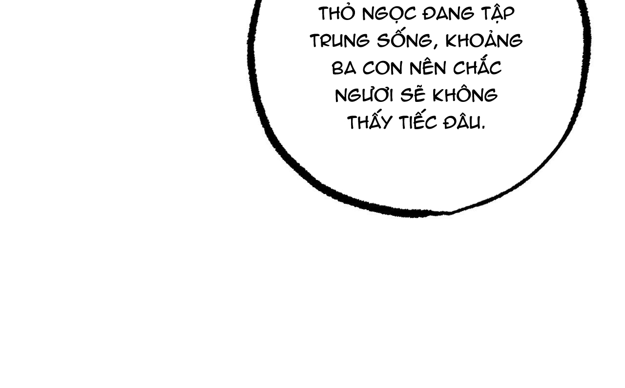 đàn thỏ của habibi chapter 47 166