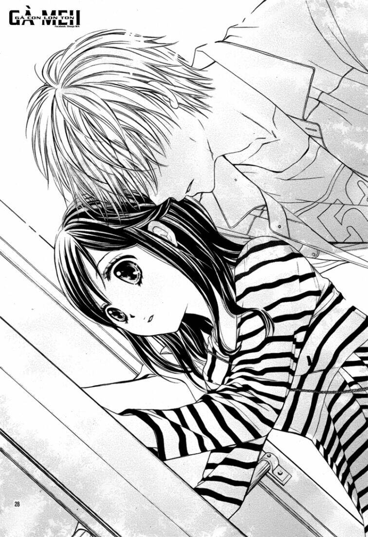 hachimitsu ni hatsukoi chapter 12 34