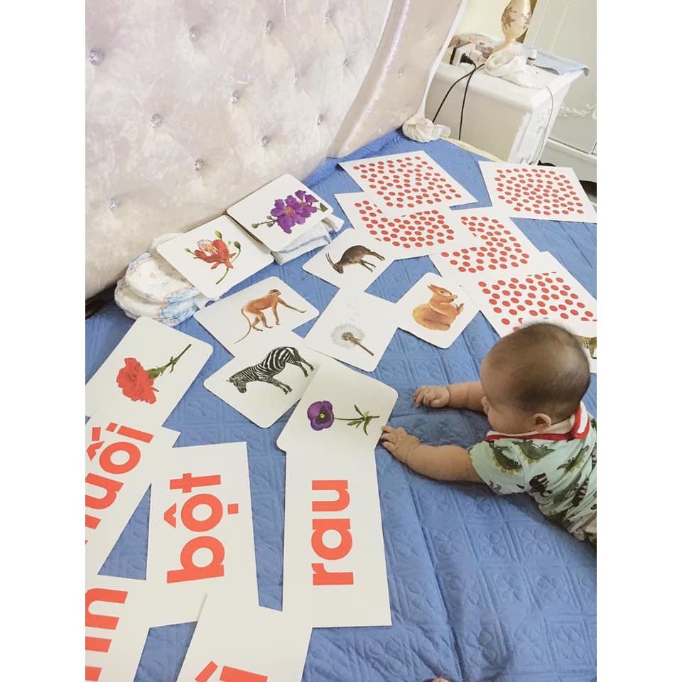 Combo 2 Bộ Thẻ Học Thông Minh Song Ngữ-Flashcard Dạy Trẻ về Thế Giới Xung Quanh và Dạy Trẻ Học Toán DOT CARDS