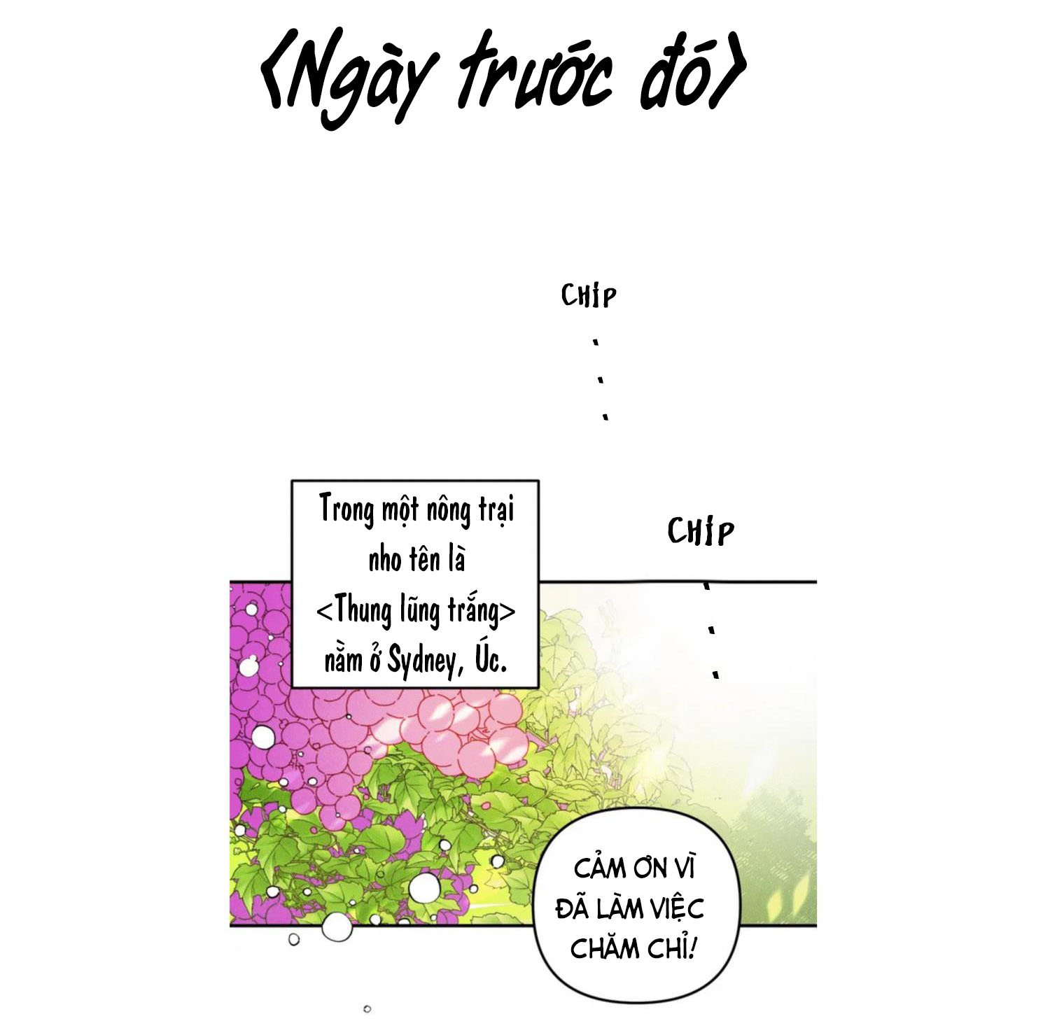 punk dunk funk chapter 1 6