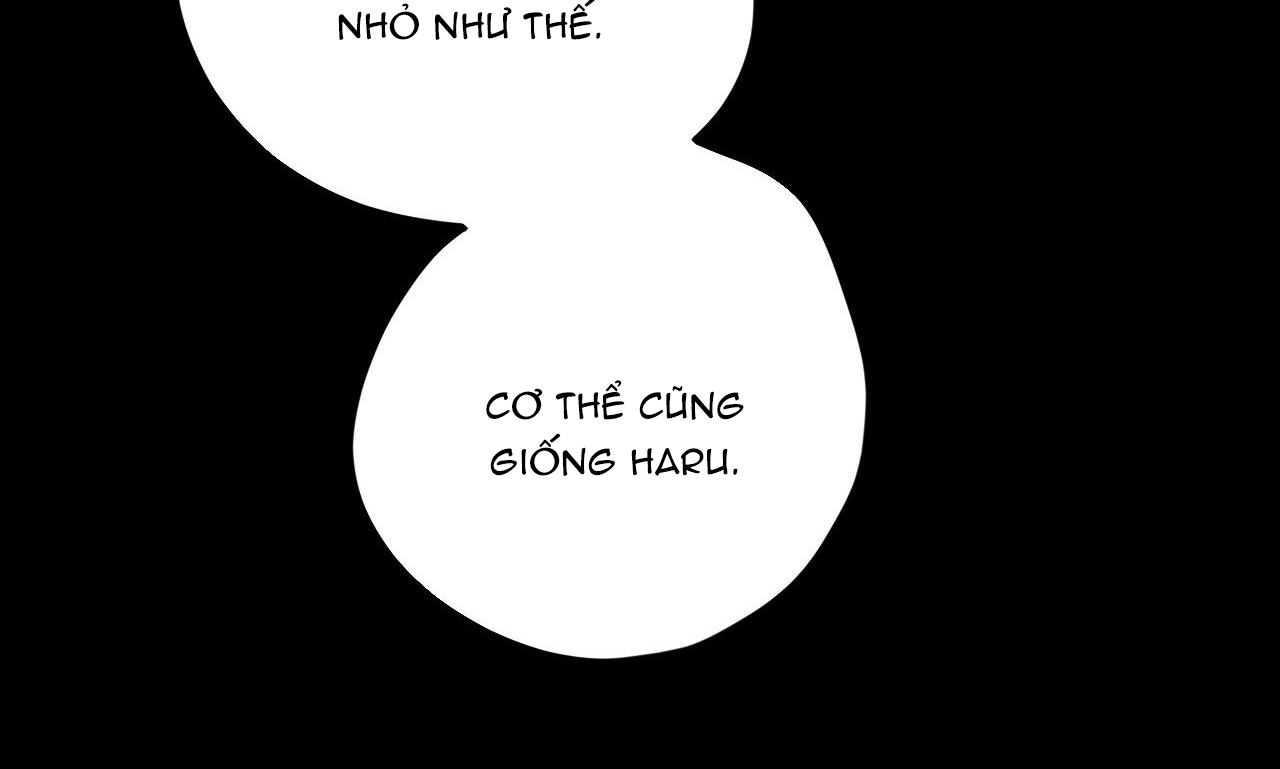 đàn thỏ của habibi chapter 30 55