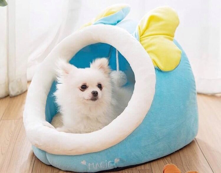 Nhà nệm bông cao cấp cho thú cưng siêu cute - Giao màu ngẫu nhiên