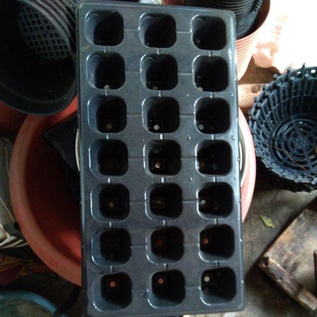 Vỉ ươm hạt - đa dạng kích thước lỗ từ 21-32-50-72-98-105-128-200 lỗ