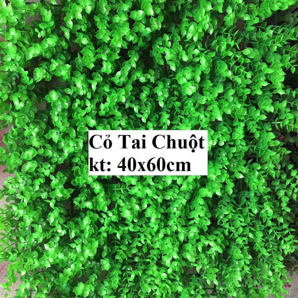 Cỏ trang trí tường tai chuột kích thước 40cmx60cm