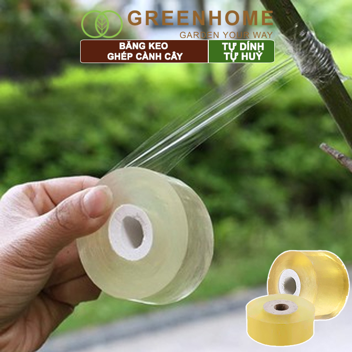 Keo Ghép Cành Greenhome, Tự Dính, Tự Huỷ, Bảo Vệ Mối Ghép Nhanh Liền, Dễ Sử Dụng, Nhiều Kích Thước