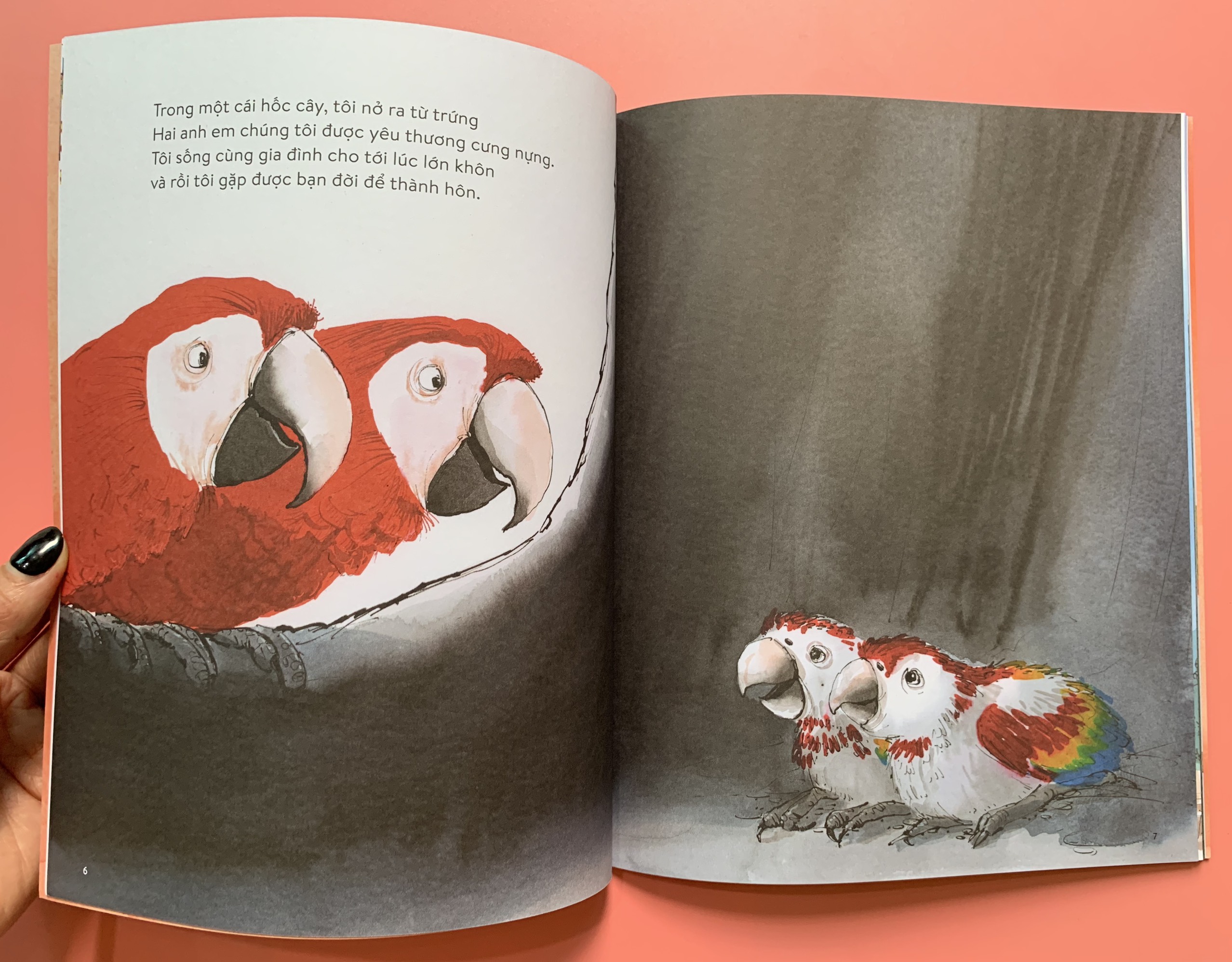 VẸT ĐUÔI DÀI ĐÃ TRÔNG THẤY GÌ – Charlotte Guillain - Sam Usher - Hà Hương Giang dịch