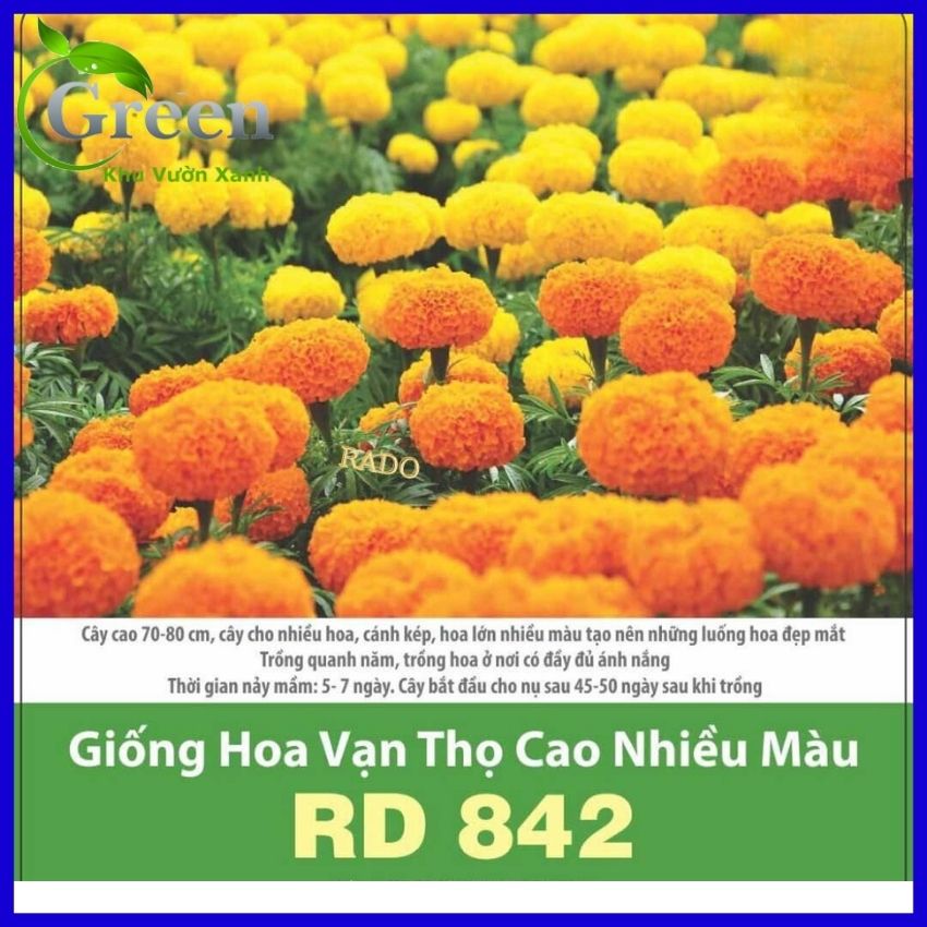 Hạt Giống Hoa Vạn Thọ Cao Nhiều Màu Mix