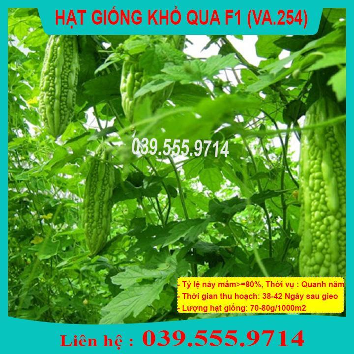 HẠT GIỐNG KHỔ QUA NẢY MẦM TỐT