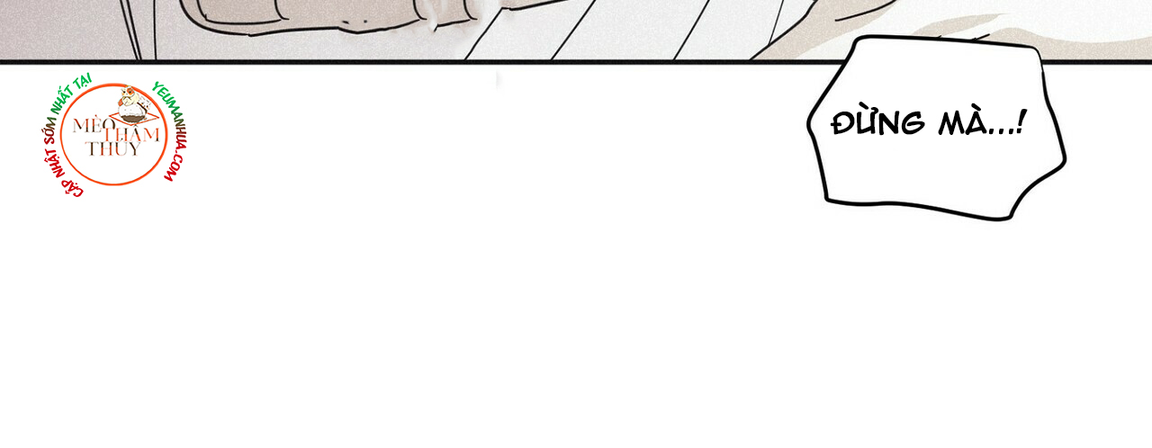 chiếu tướng chapter 45 41