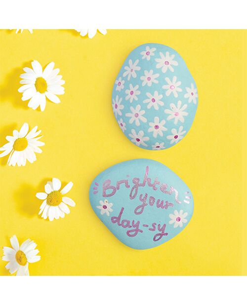 OMC! Write On! Rock Painting Kit