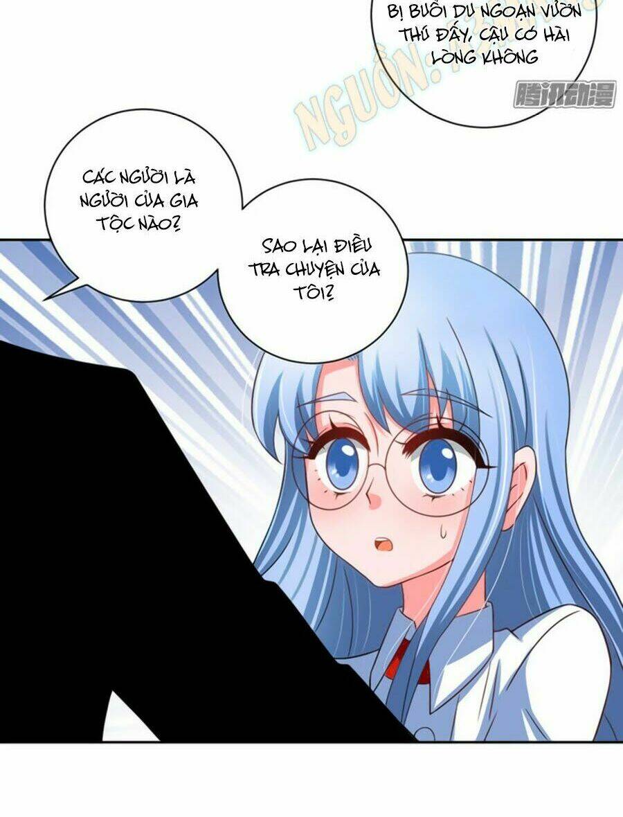 người yêu khát máu của tôi chapter 33 23