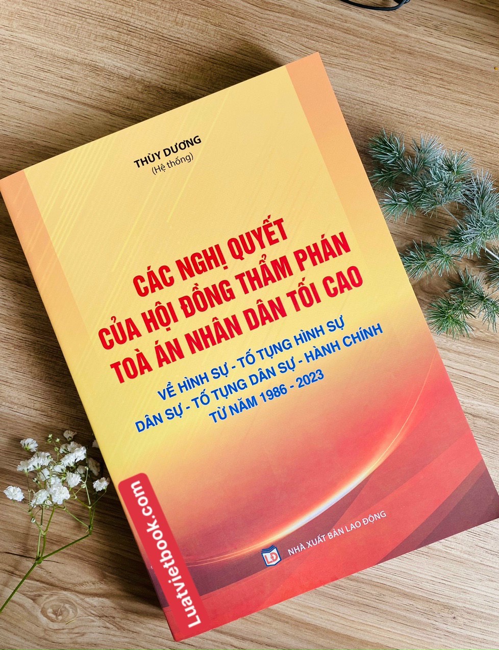 Các Nghị Quyết Của Hội Đồng Thẩm Phán Toà Án Nhân Dân Tối Cao Về Hình Sự - Tố Tụng Hình Sự - Dân Sự - Tố Tụng Dân Sự -Hành Chính