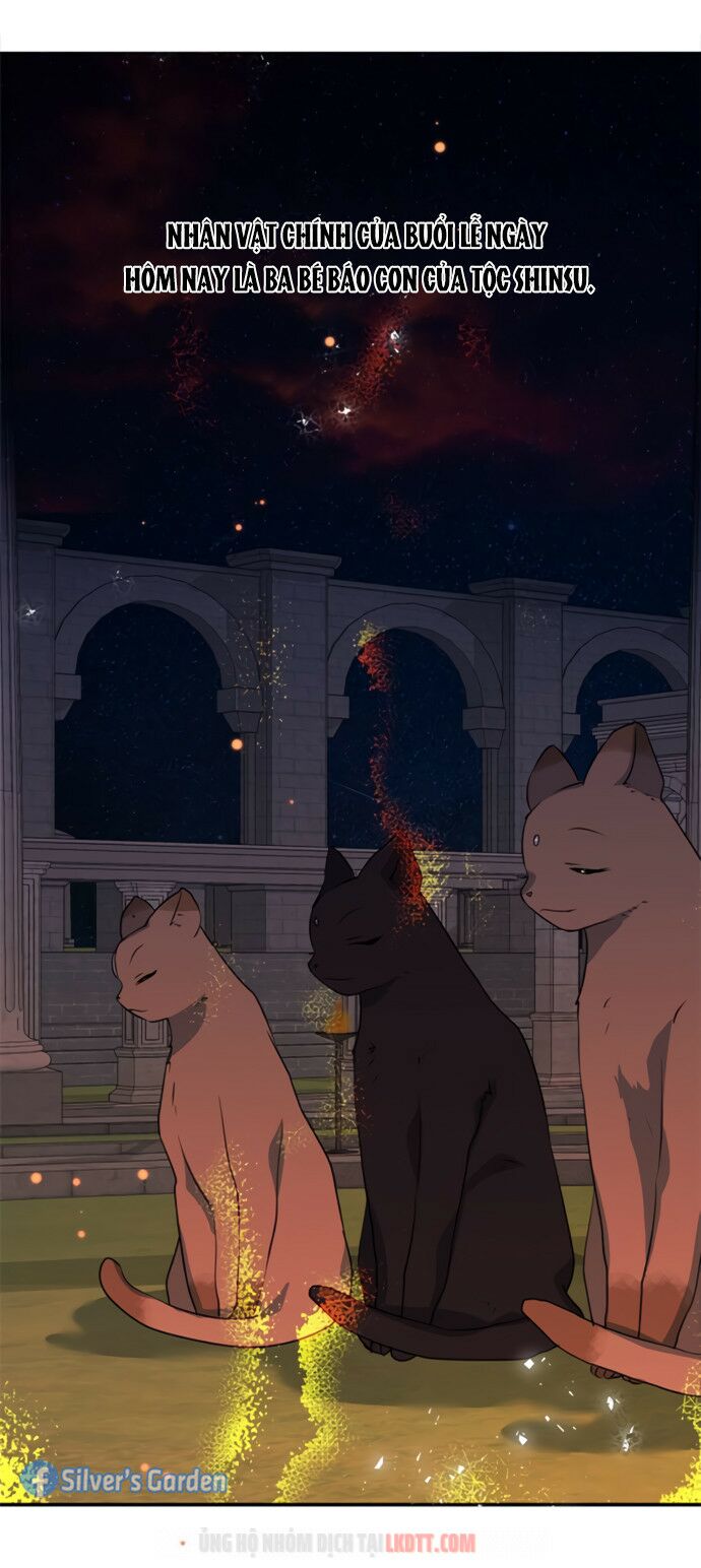 tôi đang nuôi dưỡng một con quái thú chapter 18 39