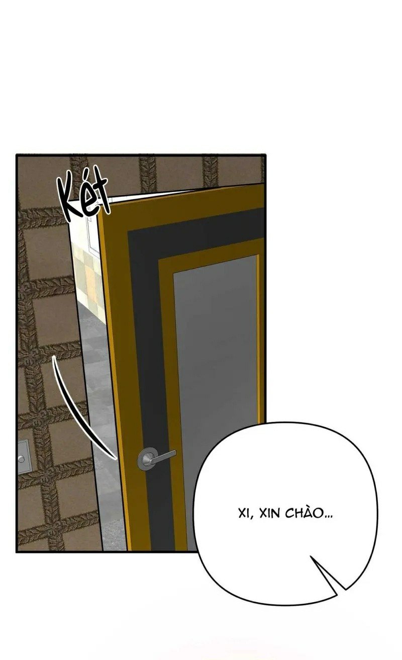 người chồng trẻ tuổi chapter 3 12