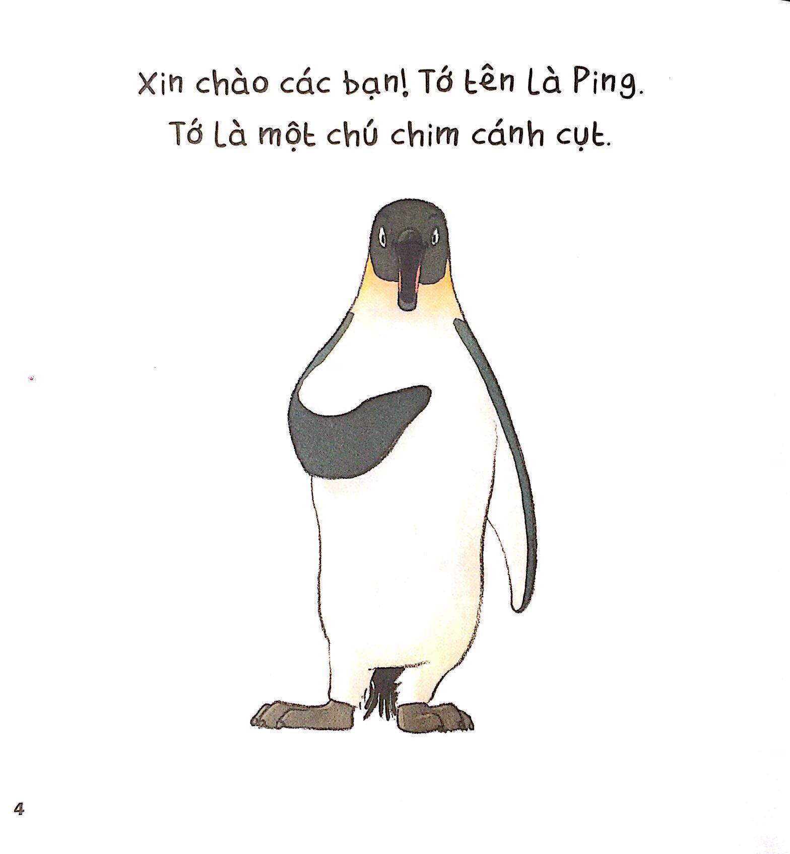 Vẽ Vui - Vui Vẽ: Cặp Bài Trùng Ping Pong