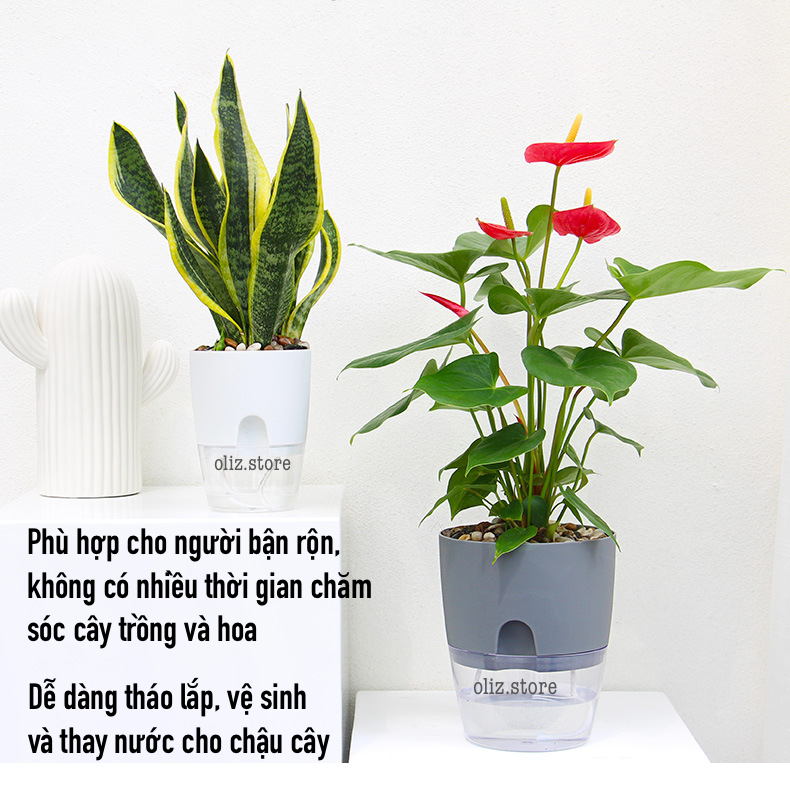 Chậu trồng cây thông minh A7. Có chức năng tự tưới nước cho cây
