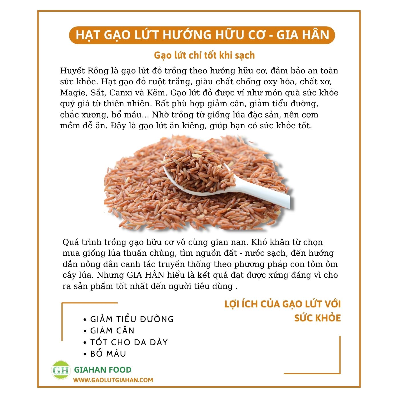 Combo 3 gói Bột gạo lứt giảm cân,Bột gạo lứt giảm mỡ bụng GIAHAN FOOD bột giảm cân tại nhà, an toàn