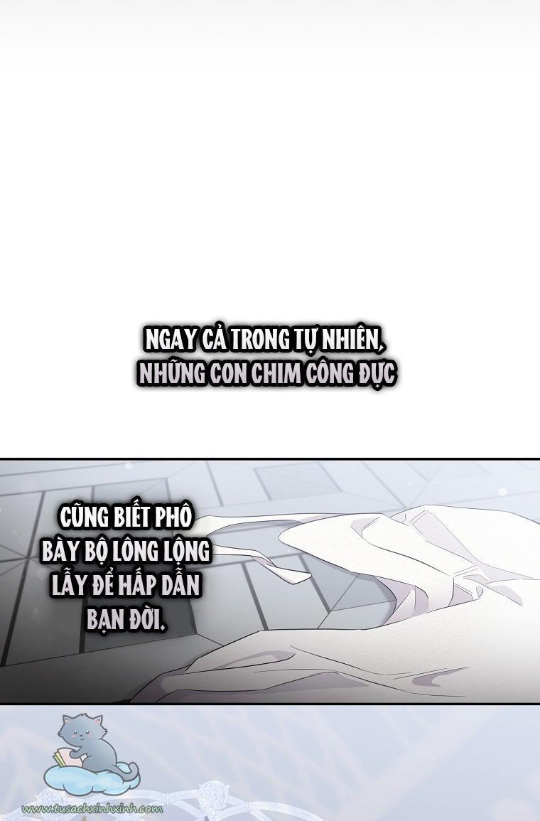 thuần hóa bạo chúa rồi bỏ trốn chapter 41 52