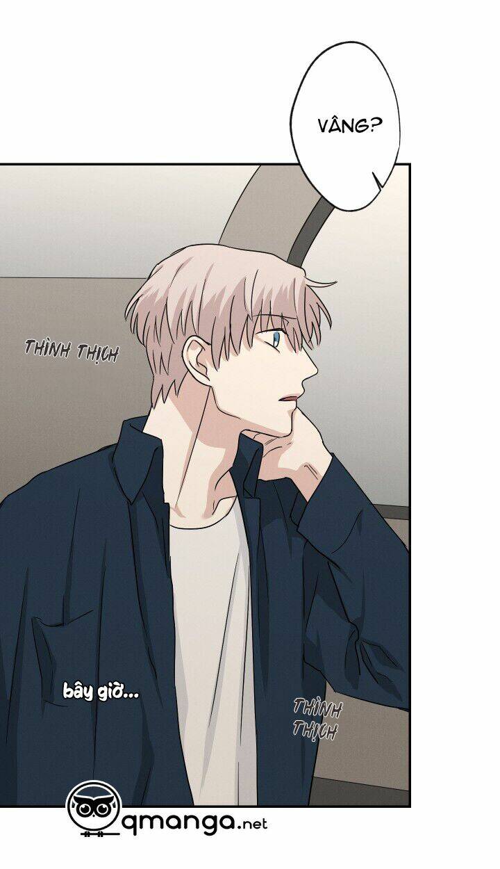 trốn tìm chapter 11 33