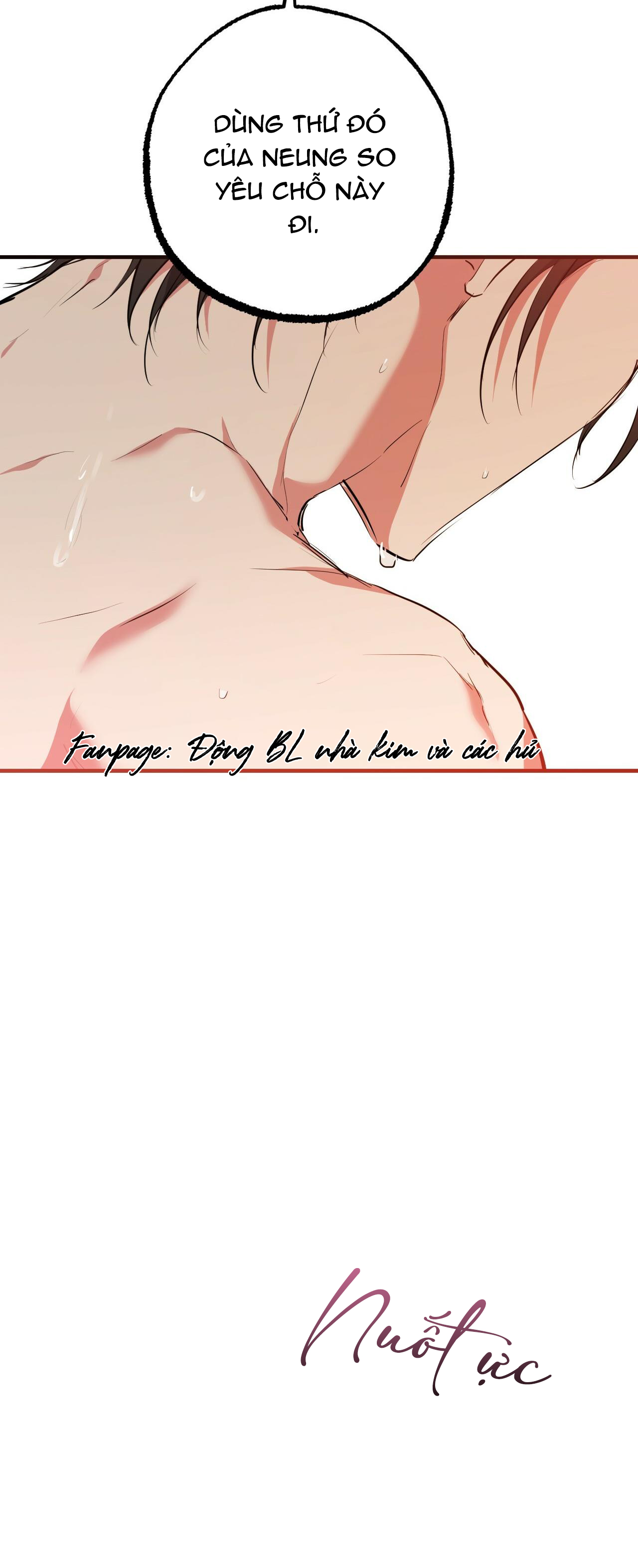 những chú thỏ của hapypy chapter 38 37