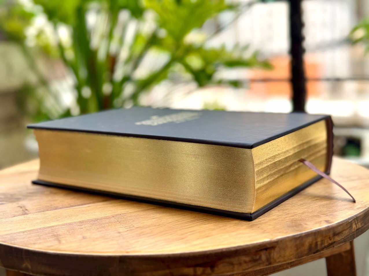 CỘI RỄ (ALEX HALEY - DỊCH GIẢ DƯƠNG TƯỜNG)