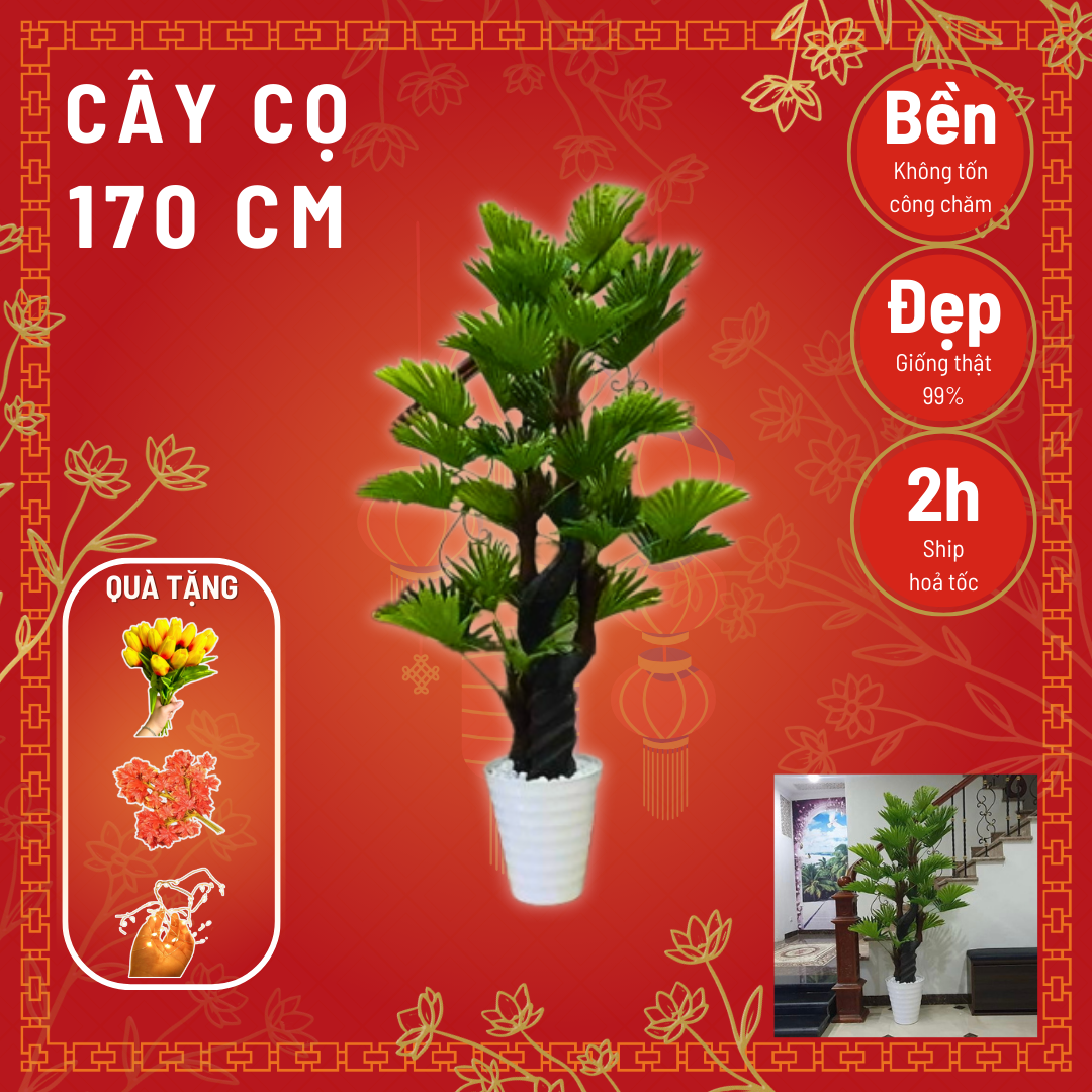 Chậu cây cọ giả – Cao 170 cm – Cây nội thất giả, hoa lụa trang trí decor